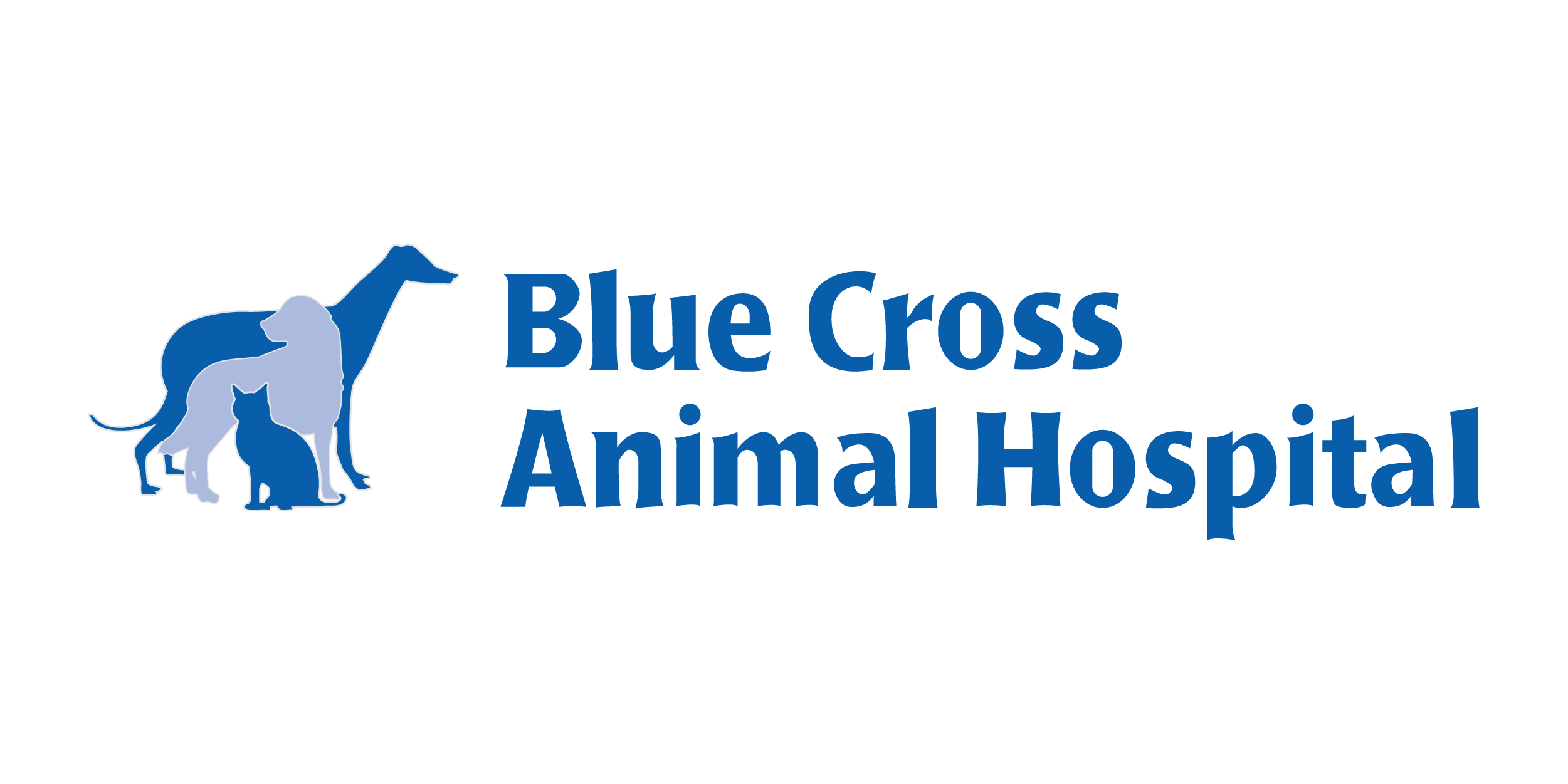Blue Cross Animal Hospital in Minneapolis, Minnesota