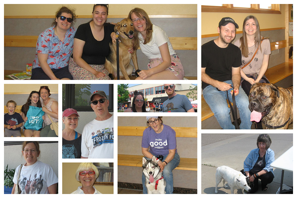 Lyndale Open Streets Blue Cross Animal Hospital